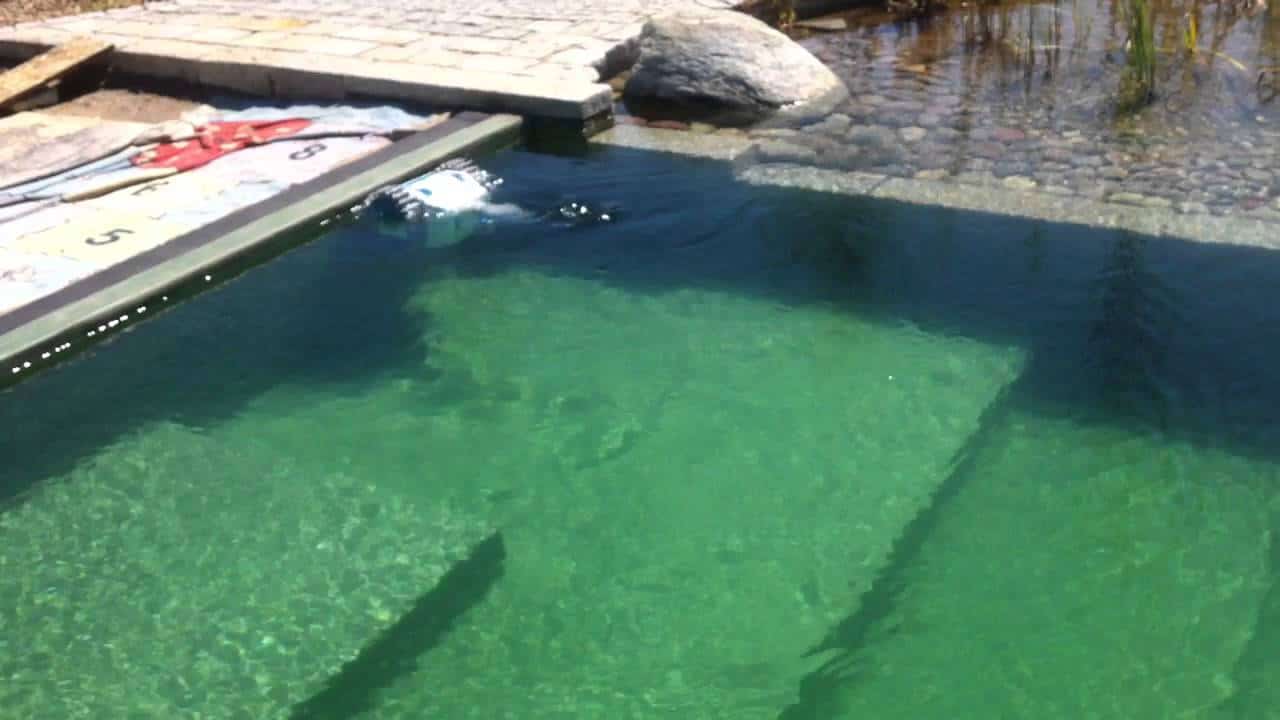 robot podwodny w stawie kąpielowym przy pracy
