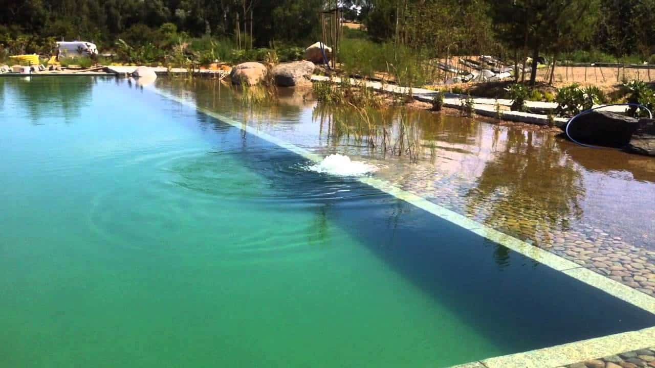 staw kąpielowy z robotem podwodnym, pływalnia w kolorze zielonej oliwki